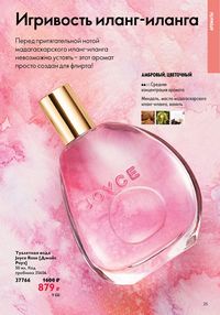 Страница 25