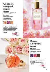 Страница 43